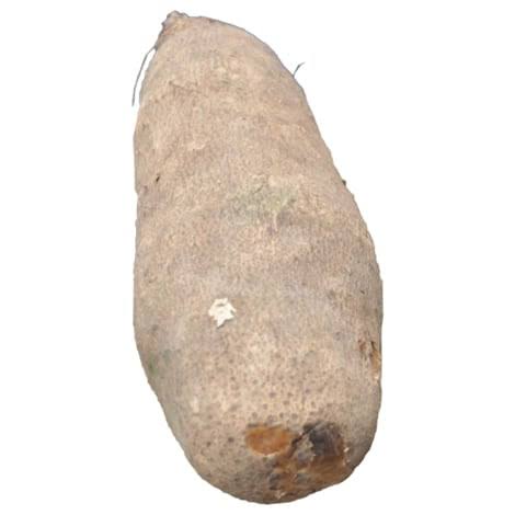Yam